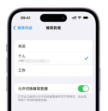 鸡西苹果维修服务分享如何在iPhone上使用双卡 