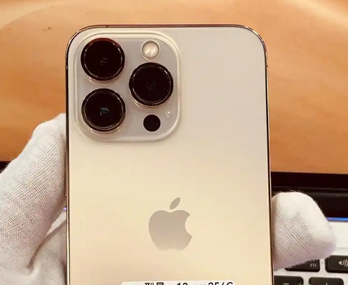 鸡西苹果13维修中心分享如何在iPhone13上设置动态壁纸 鸡西苹果13维修中心分享如何在iPhone13上设置动态壁纸